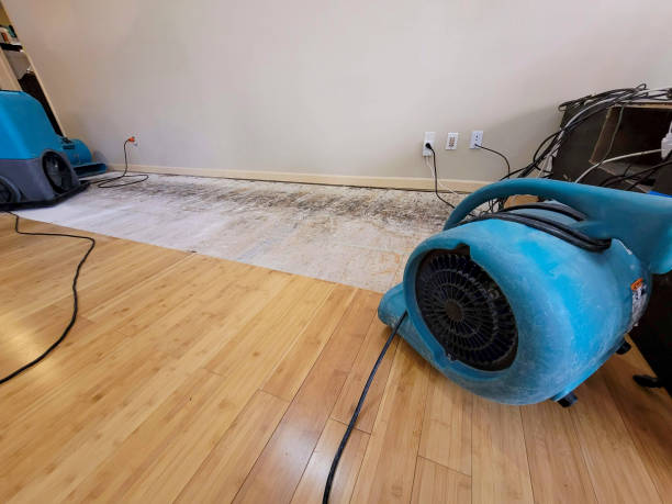 Professional Basement Flood Cleanup technician working in San Dimas, CA